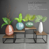 Leaf & Vase