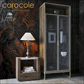 CARACOLE Vision-Airy ATS-DISCAB-001