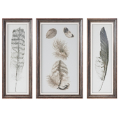 Uttermost Feather Study Wall Art Prints (Set of 3)