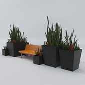 Architectural outdoor bench and plant