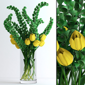 Yellow tulips and Moluccella