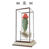 Cactus in a vase on a stand