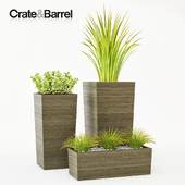 Crate & Barrel Tidore Planters