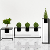Potted plants 05