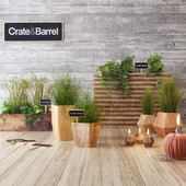 Crate & Barrel planter set