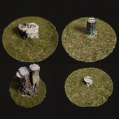 4 stump and grass