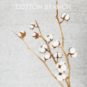 cotton threads
