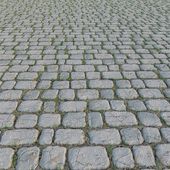 Paving Stone and Grass