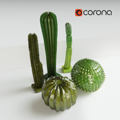 Cactuses_part1