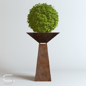 Plant CEDE 02