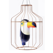 Toucan in a Golden cage