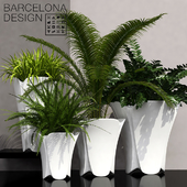 Barcelona design flowerpots set 02