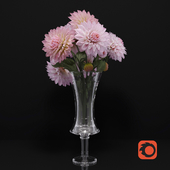 flowers_dahlias