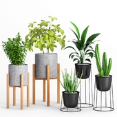 Plants and Planters _2