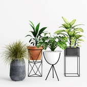 Plants and Planters _ 4