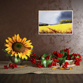 Sunflower and currants Still life
