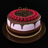 Raspberry chocolate cake
