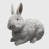 декоративный кролик
