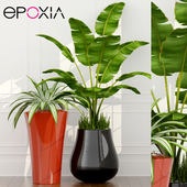 epoxia planters