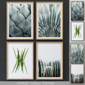 Cactus framed