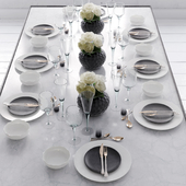 Table setting / Table set