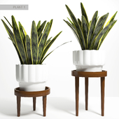 PLANT STAND 01