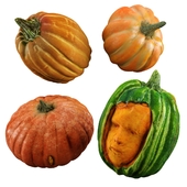 Sexy Crazy Pumpkins
