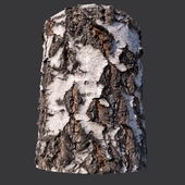 Material of birch bark (photogrammetry)