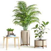 Plant set