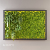 Fito wall with moss