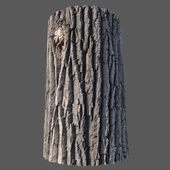 Material of the poplar bark