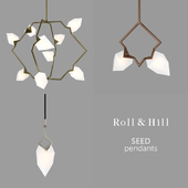 Roll&Hill Seed pendants