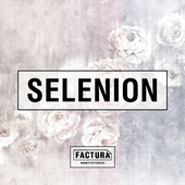 FACTURA Selenion_2