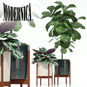 Plants collection 69 Modernica pots