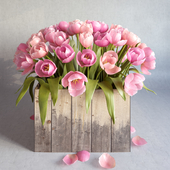 pink_tulips_in_box