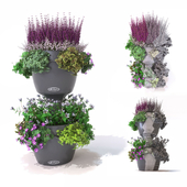 Set Lechuza CASCADINO Color with a variety of flowers and home plants