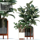 Plants collection 72 Modernica pots