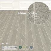 Shaw Carpet Active Wall to Wall Floor No 4