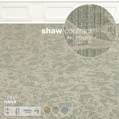 Shaw Carpet Terasu Hana Wall to Wall Floor No 1