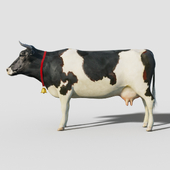 Cow