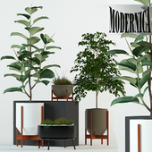 Plants collection 78 Modernica pots