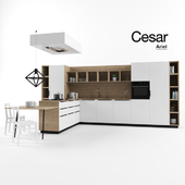 Cesar kitchen (Ariel)