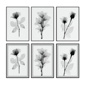 Posters with flowers in x-rays (x-ray).