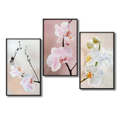 A modular picture is a branch of an orchid.