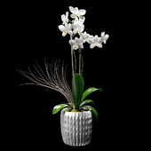 Цветок орхидея декоративный в горшке белый