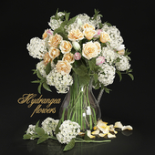 Hydrangea  flowers
