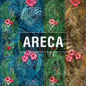 Factura | Areca