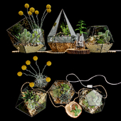 Set of florariums