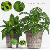 PLANT SET -98
