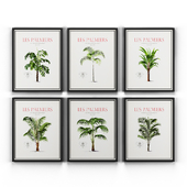 Сет винтажных постеров "Пальмы"